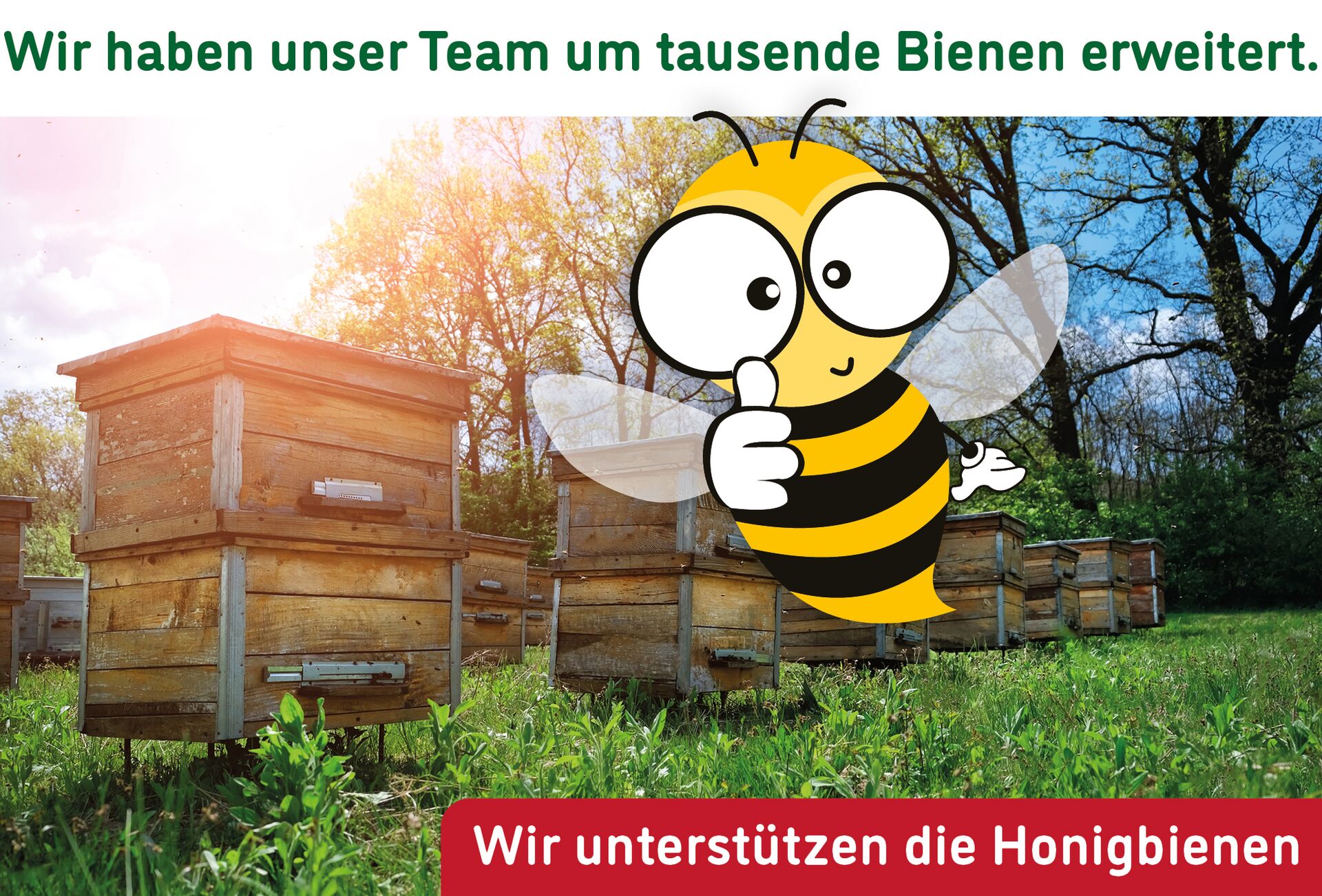 Unser Team