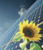 Die zukunftsweisende Photovoltaikanlage