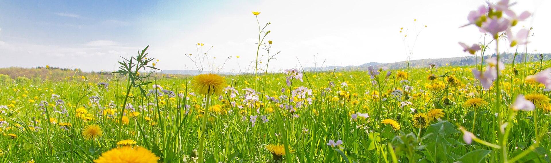 Energiesparende Haustechnik