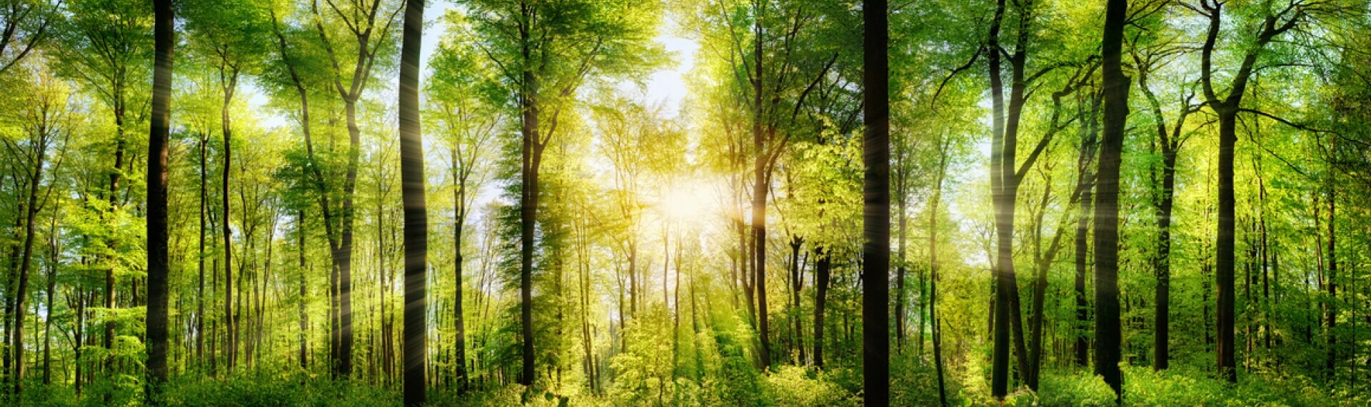 Energie sparen in der Übersicht