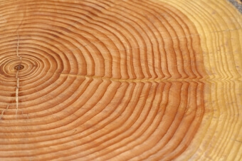 Dämmen mit natürlicher Holzfaser oder Zellulose