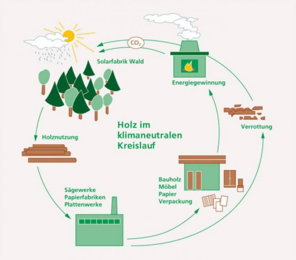 Der Werkstoff Holz ist klimaneutral!